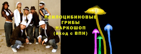 Альфа ПВП Белокуриха